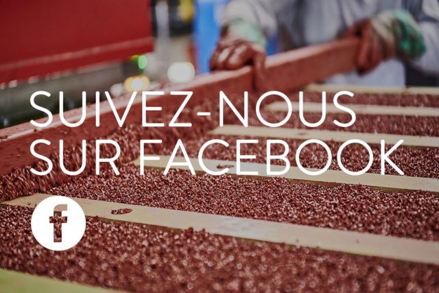 suivez nous sur facebook solygom